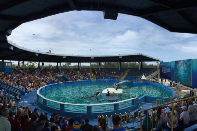 Miami Seaquarium