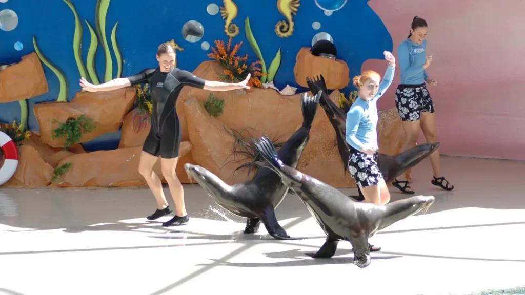 Miami Seaquarium