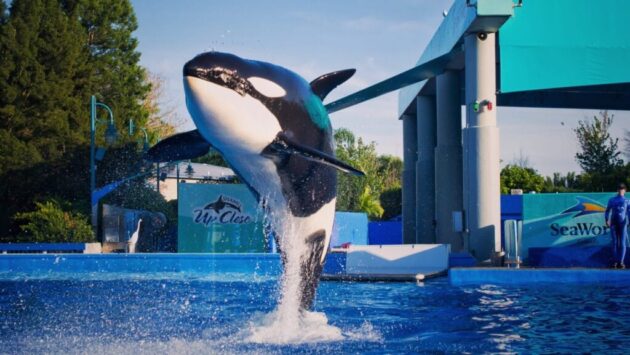 Miami Seaquarium