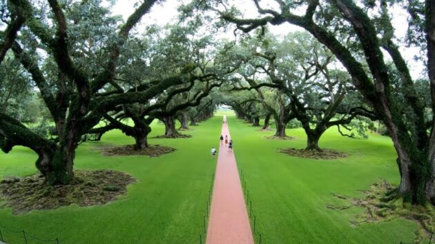 Oak Alley Plantation