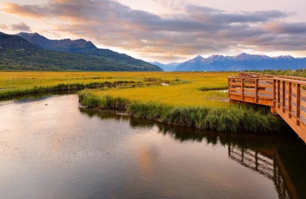 Potter Marsh Wildlife Viewing Boardwalk