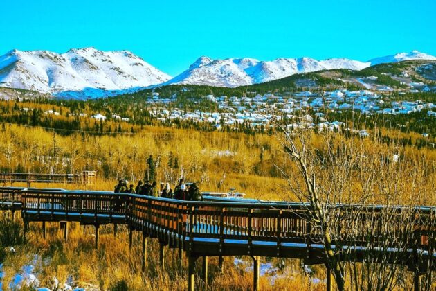 Potter Marsh Wildlife Viewing Boardwalk