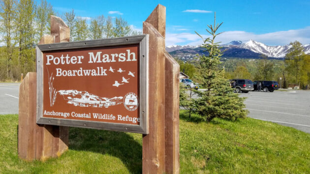 Potter Marsh Wildlife Viewing Boardwalk