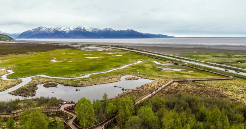 Potter Marsh Wildlife Viewing Boardwalk