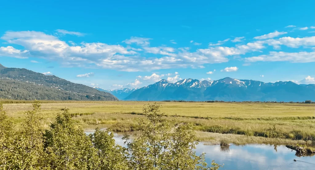 Potter Marsh Wildlife Viewing Boardwalk