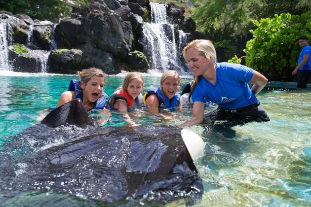 Sea Life Park Hawaii