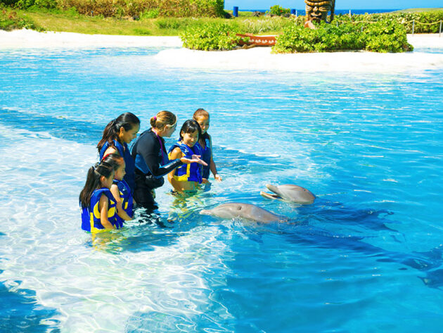 Sea Life Park Hawaii