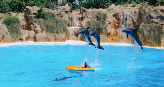 Sea Life Park Hawaii