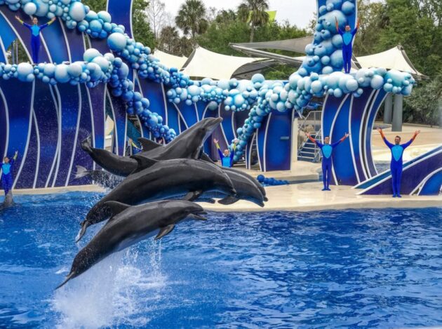SeaWorld Orlando