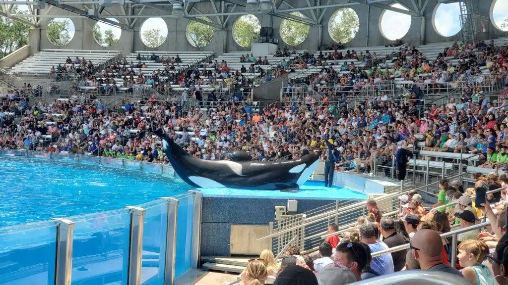 SeaWorld Orlando