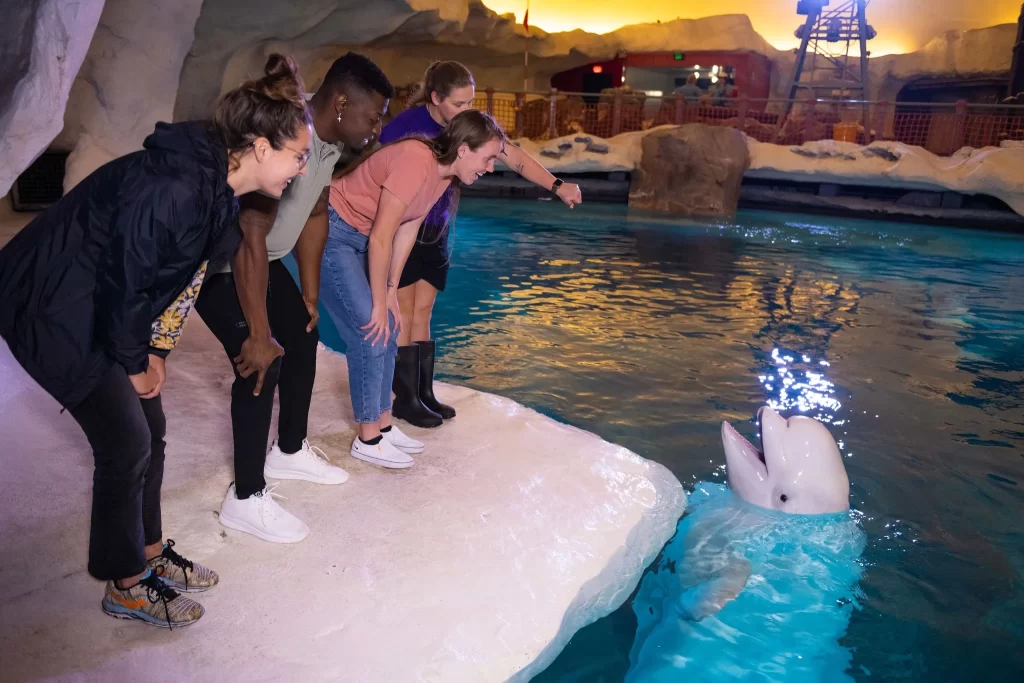 SeaWorld Orlando