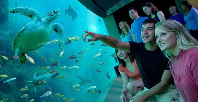 SeaWorld Orlando