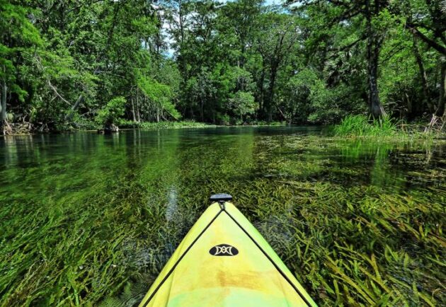 Silver Springs State Park