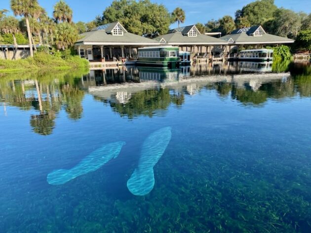 Silver Springs State Park