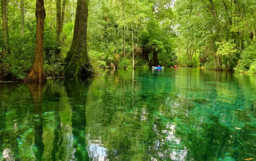 Silver Springs State Park