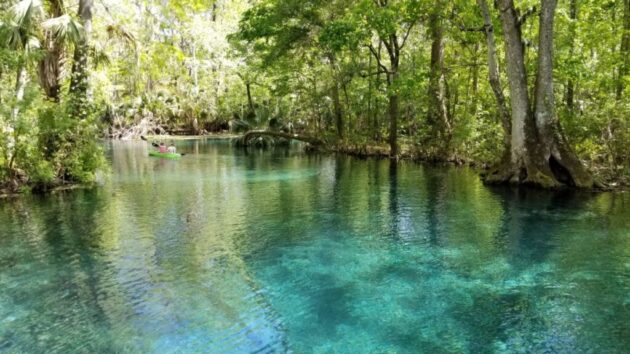 Silver Springs State Park