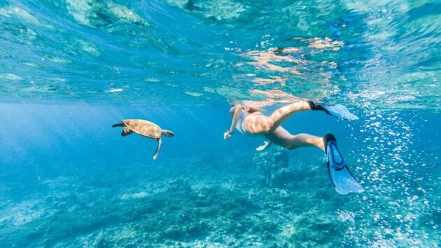 Snorkeling at Kumimi Beach