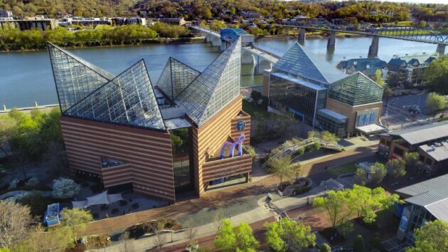 Tennessee Aquarium