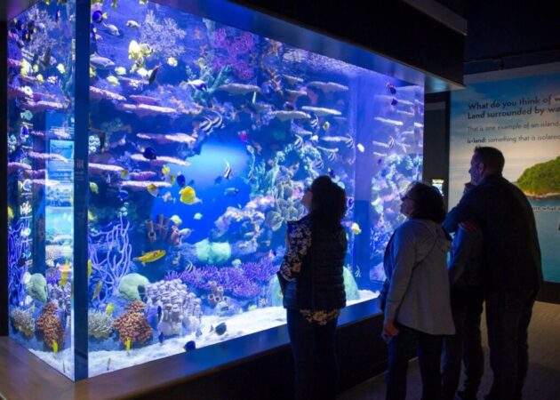 Tennessee Aquarium