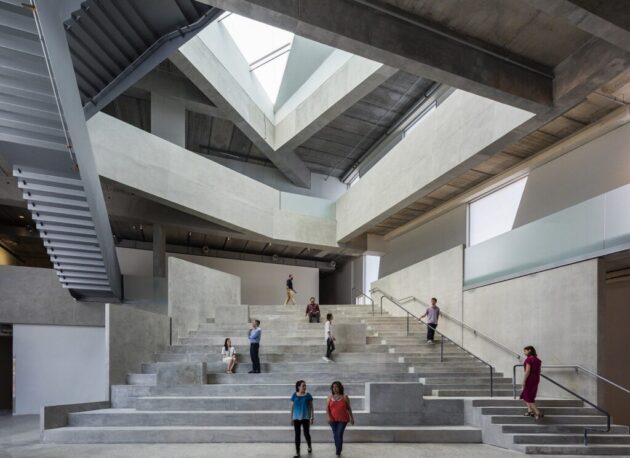 The Museum of Fine Arts, Houston
