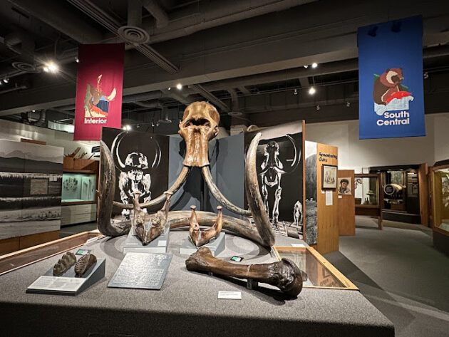 University of Alaska Museum of the North