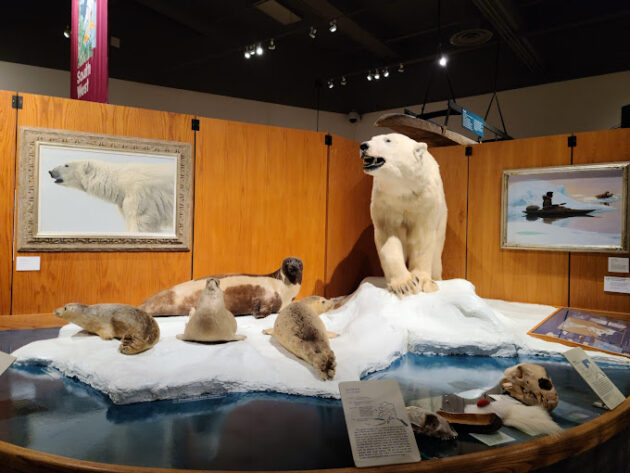 University of Alaska Museum of the North