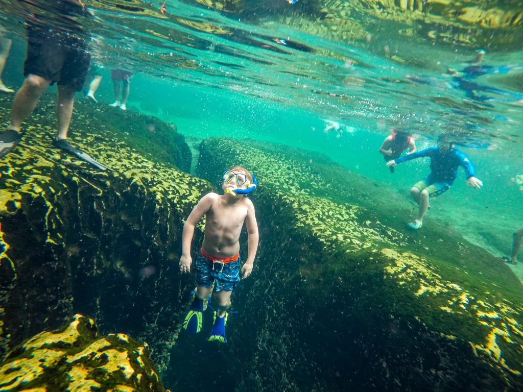 Wekiwa Springs State Park
