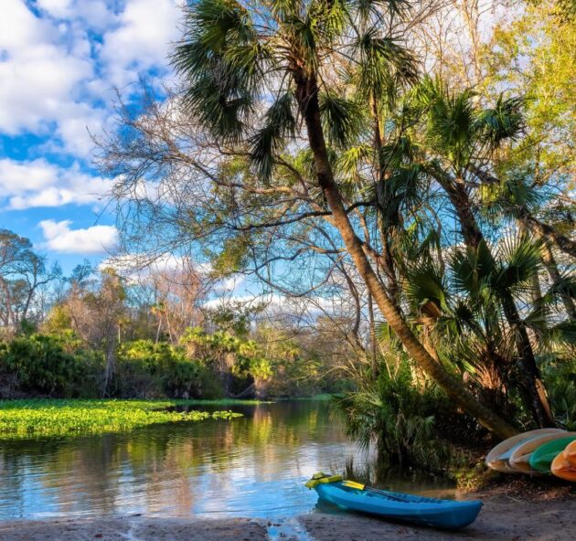 Wekiwa Springs State Park