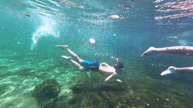 Wekiwa Springs State Park