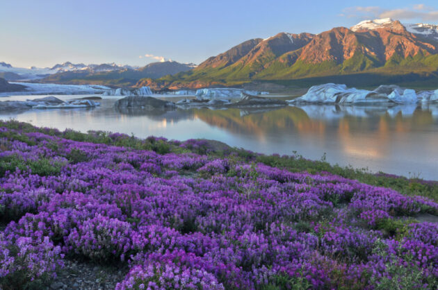 Wrangell-St. Elias National Park & Preserve
