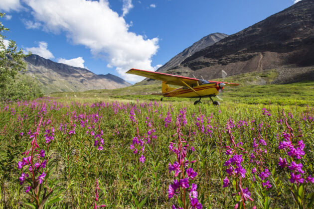 Wrangell-St. Elias National Park & Preserve