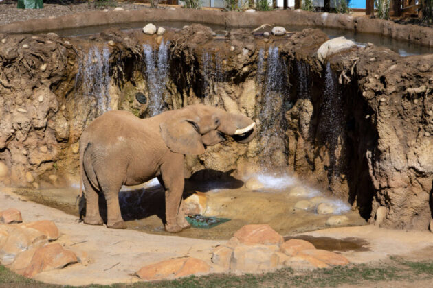 Zoo Atlanta