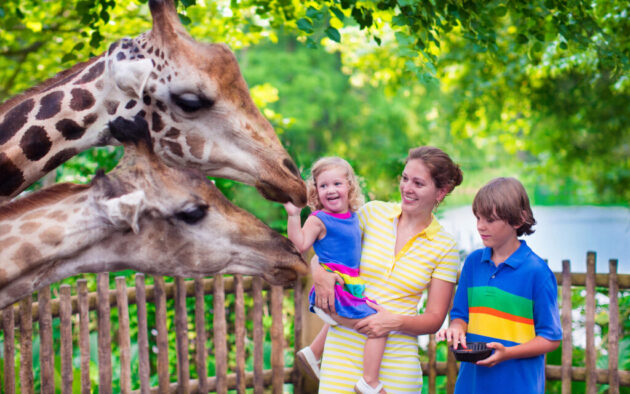 Zoo Atlanta