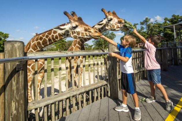 Zoo Miami