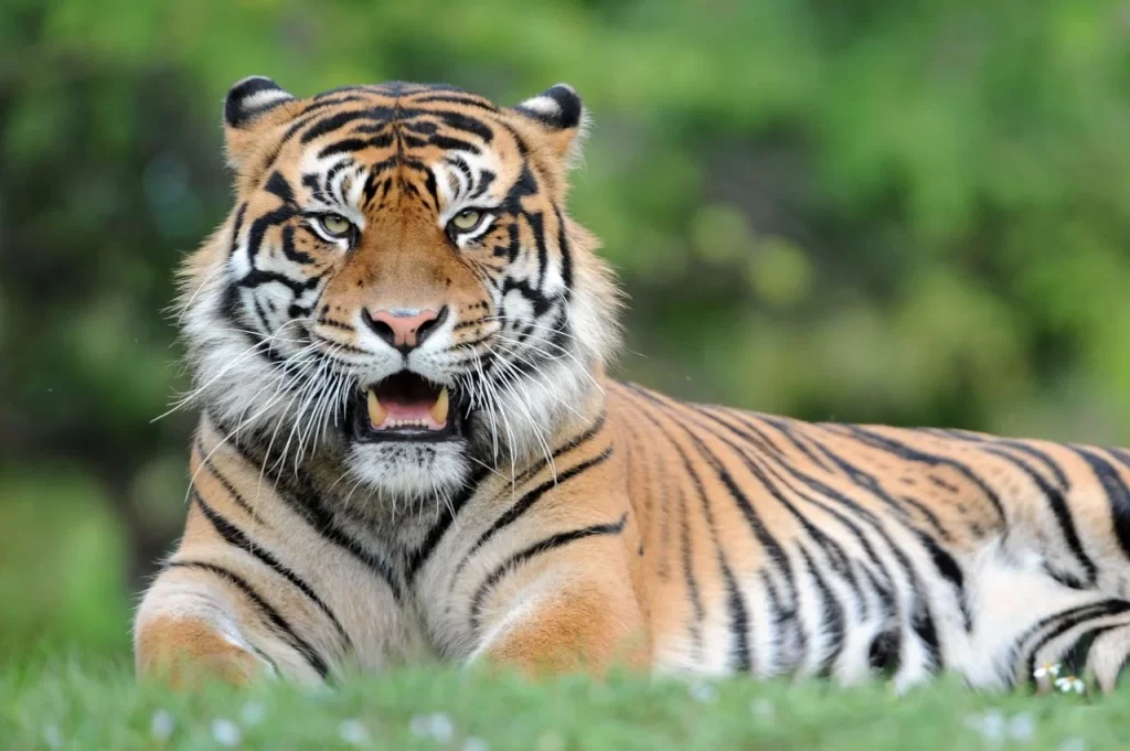 Zoo Miami