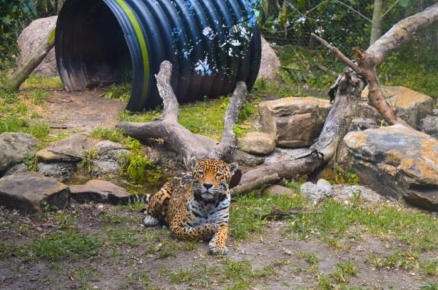 Zoo Miami