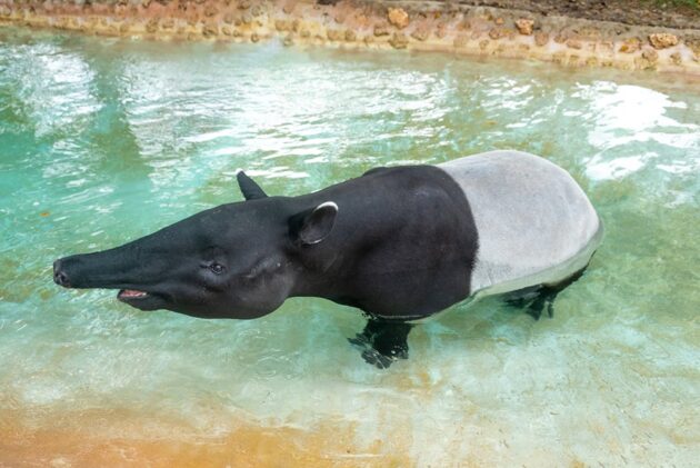 Zoo Miami