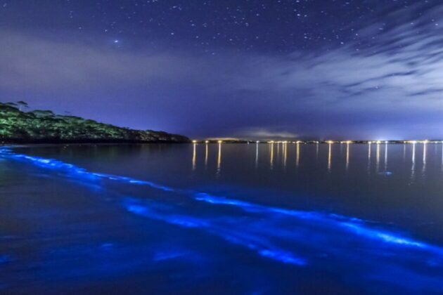 Bioluminescent Bays