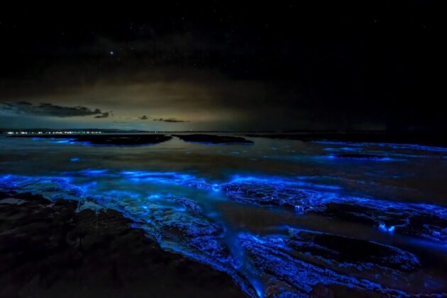 Bioluminescent Bays