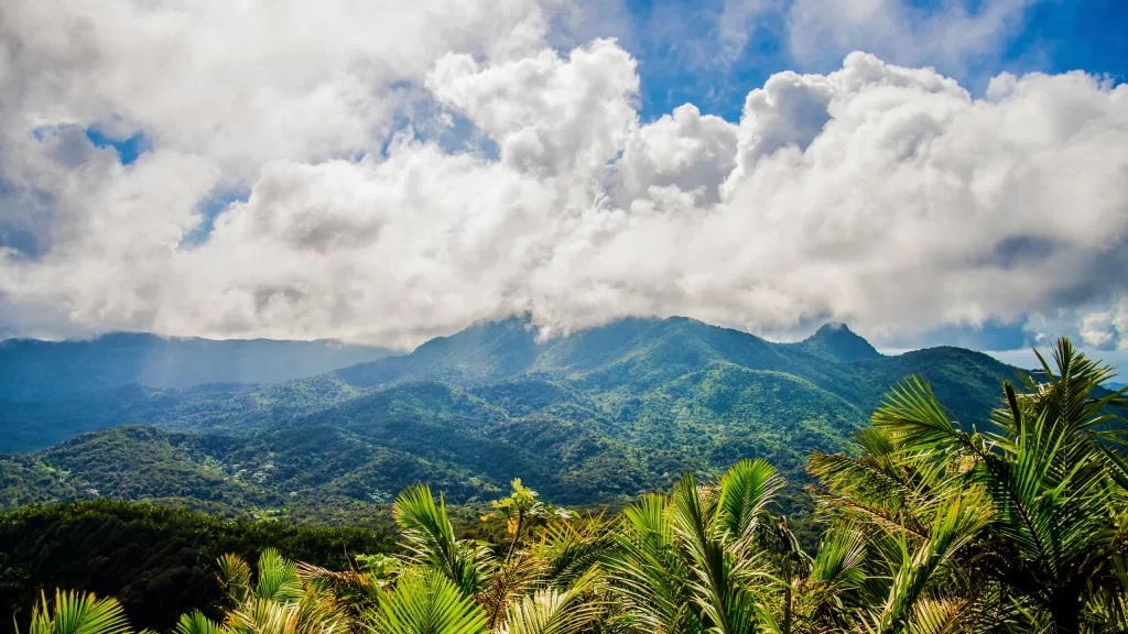 El Yunque National Forest ★★★