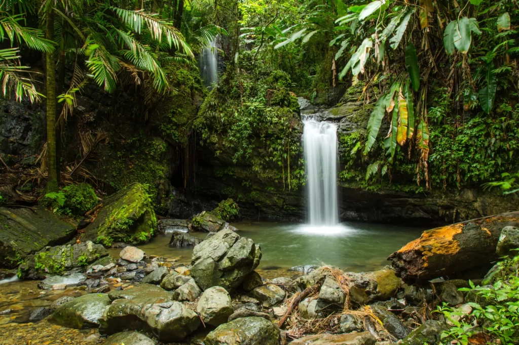 El Yunque National Forest