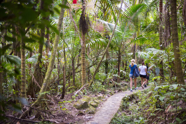 El Yunque National Forest