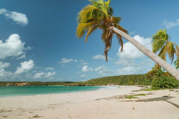 Vieques