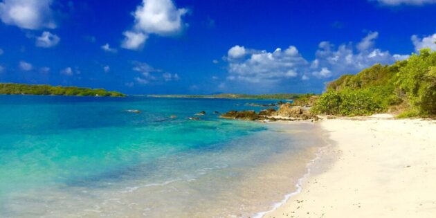 Vieques