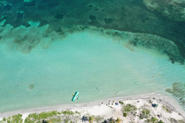 Vieques