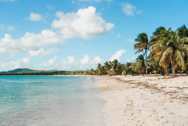 Vieques