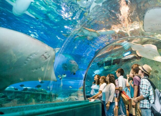 Aquarium of Guam