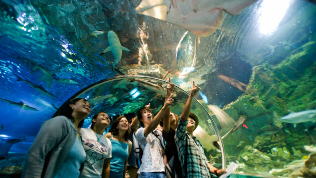 Aquarium of Guam