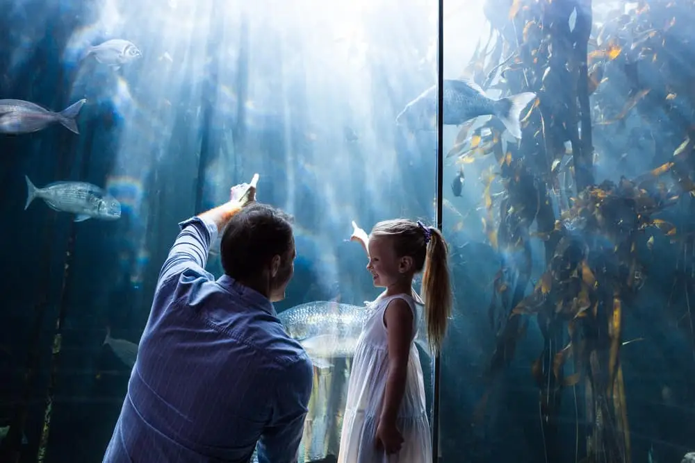 Aquarium of Guam