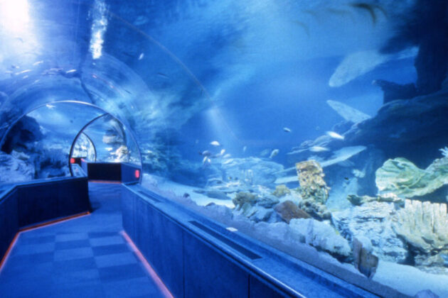 Aquarium of Guam